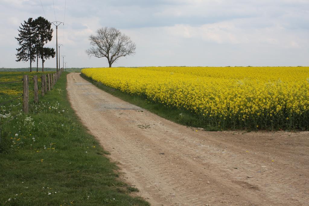 La Grange De Boulaines Bed and Breakfast Méru Εξωτερικό φωτογραφία